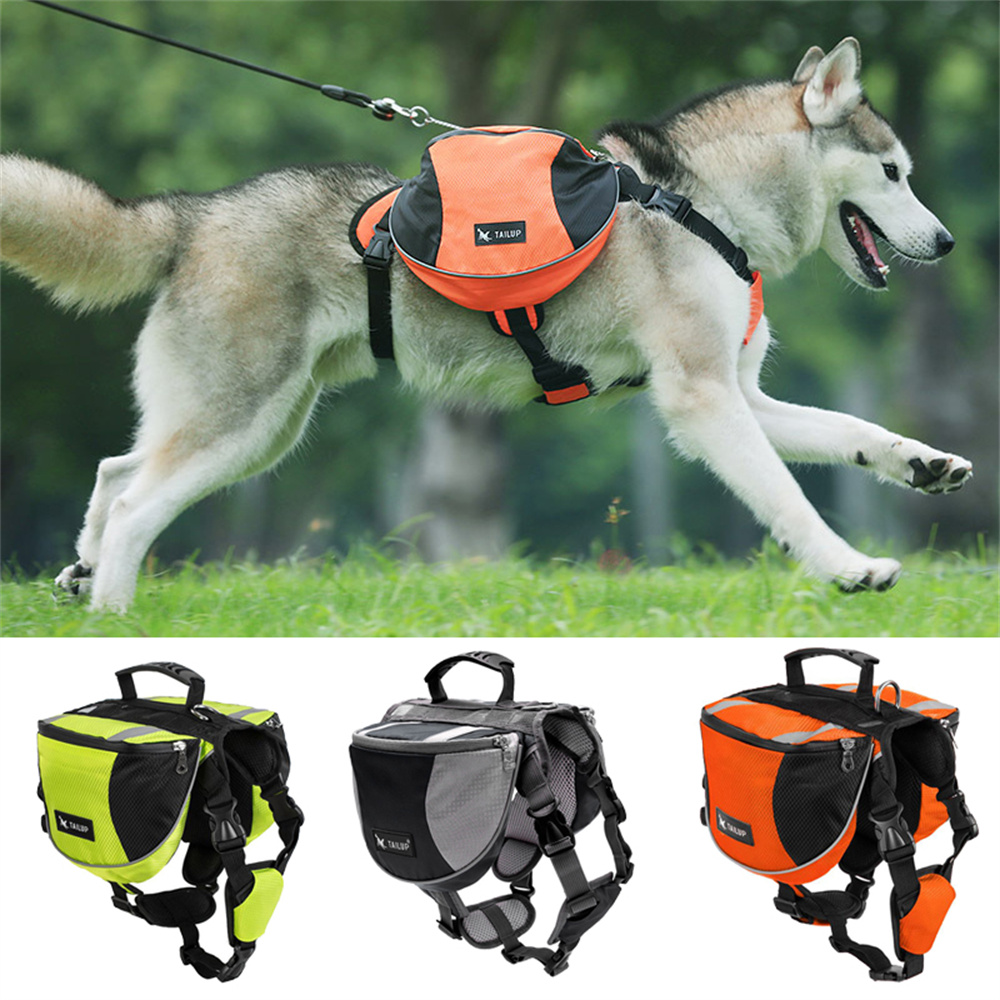 Dog Weight Training Backpack H - Crossfit Weight Vest review and price